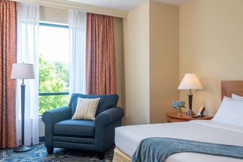 Standard Room, 1 King Bed | Hypo-allergenic bedding, desk, laptop workspace, blackout drapes