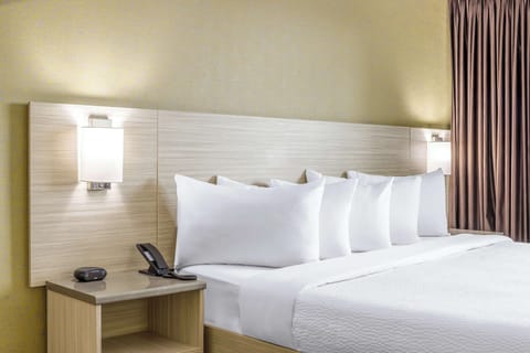 Premium bedding, individually decorated, individually furnished, desk