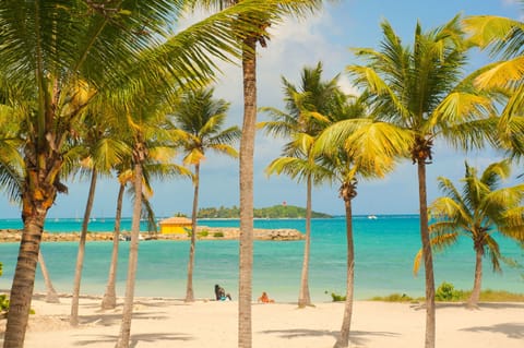 On the beach, white sand, sun loungers, beach umbrellas