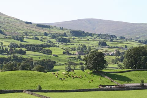 View across to Hawes in glorious Wensleydale in the Yorkshire dales