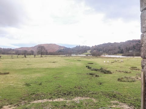 Cottage | Property grounds