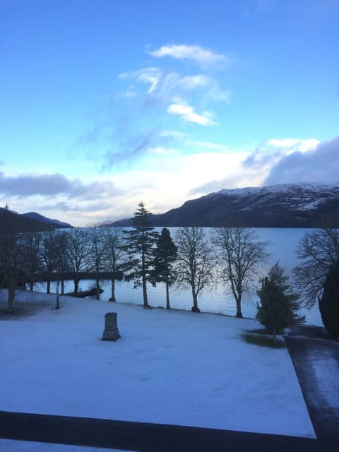 View from the bathroom window
Can you see the monster ?