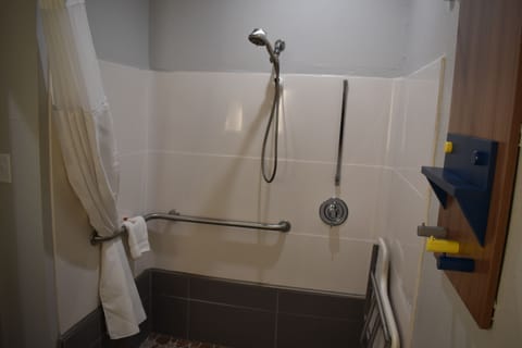 Room, 1 Queen Bed, Accessible, Non Smoking | Bathroom | Combined shower/tub, deep soaking tub, hydromassage showerhead