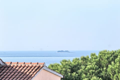Beach/ocean view