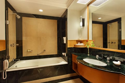 Deluxe Suite | Bathroom | Shower, free toiletries, hair dryer, bathrobes