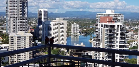 Executive Apartment | Balcony view