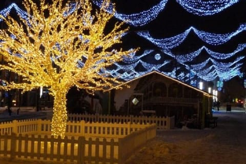 Christmas market & Christmas light 2