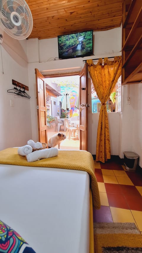 Standard Double Room, 1 Large Twin Bed, Shared Bathroom, Courtyard View | Iron/ironing board, free WiFi