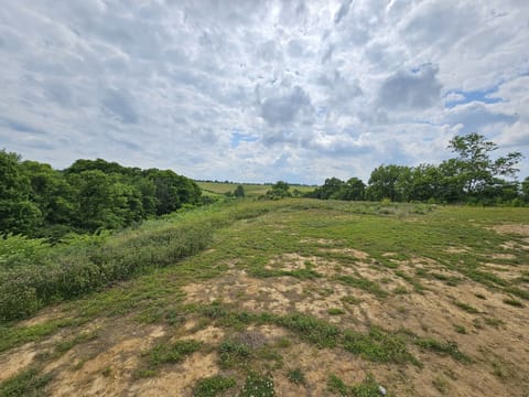 View down the hill from cabins