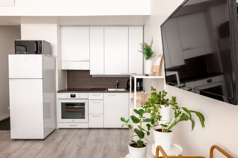 City Studio | Private kitchen | Fridge, microwave, oven, stovetop