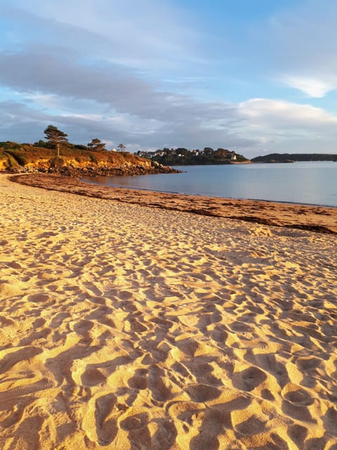 Beach nearby, scuba diving