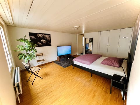 Apartment, 1 Bedroom, Smoking, Balcony | Room amenity