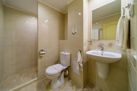 Family Double Room | Bathroom | Shower, hair dryer, towels