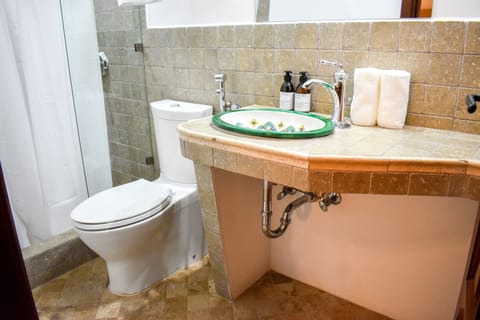 Premium Room | Bathroom | Shower, free toiletries, hair dryer, towels