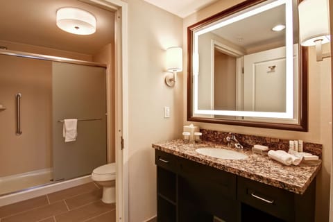 Studio Suite, 1 King Bed, Non Smoking | Bathroom shower