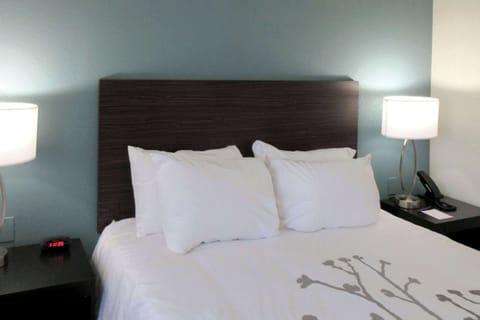 Standard Room, 1 Queen Bed, Non Smoking | 1 bedroom, pillowtop beds, desk, free WiFi