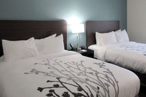 Standard Room, 2 Queen Beds, Non Smoking | 1 bedroom, pillowtop beds, desk, free WiFi