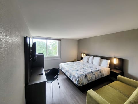 Modern, Room, 1 King Bed, Non Smoking | Pillowtop beds, desk, free WiFi, bed sheets