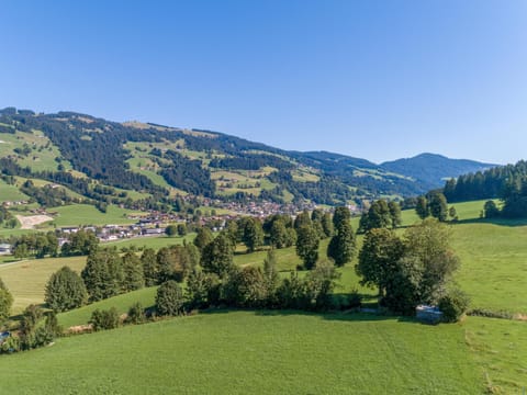 Region [summer] (&gt;5 km)