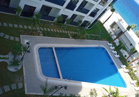 Seasonal outdoor pool, pool umbrellas, sun loungers