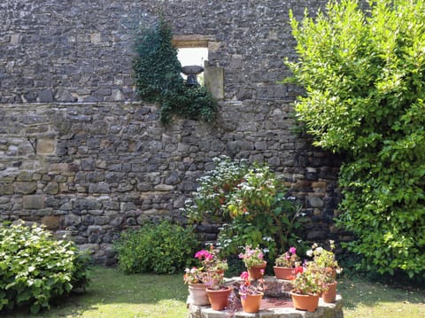 Cottage | Property grounds