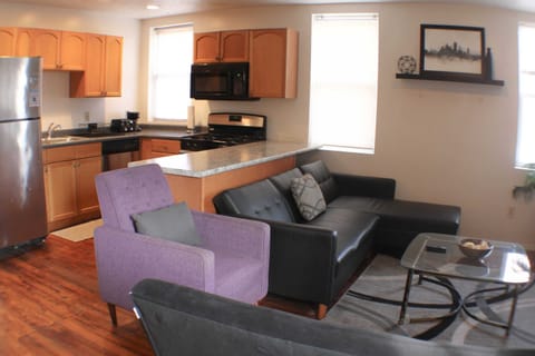 2 Fold Out Couch Sleepers