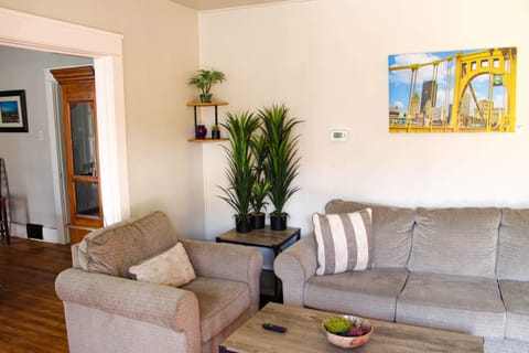 Comfy Living Room - Pull Out Sleeper Sofa