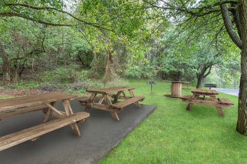 BBQ/picnic area