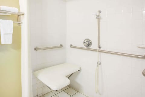 Standard Room, 1 King Bed, Accessible, Non Smoking | Bathroom shower