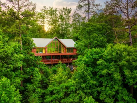 Cabin set in 3 acres of secluded nature