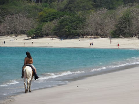 Beach nearby, white sand