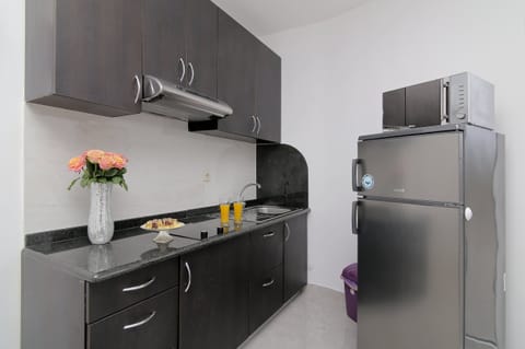 Apartment (Two Bedroom Apartment with Swimming P) | Private kitchen | Fridge