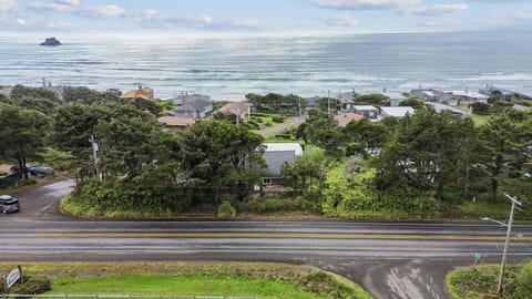 Aerial View of Shutterbug