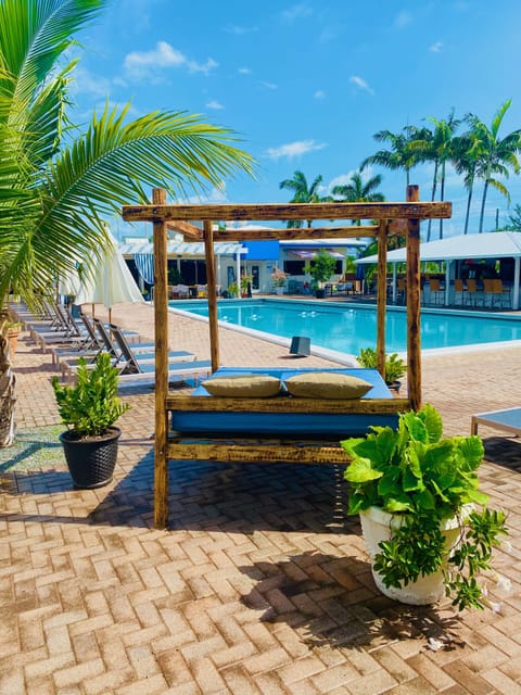 Outdoor pool, sun loungers