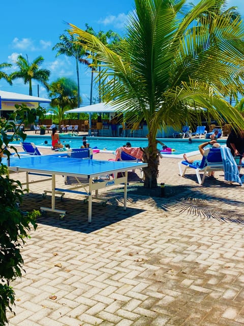 Outdoor pool, sun loungers