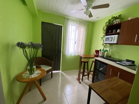 Executive Apartment | Private kitchen | Mini-fridge, microwave, coffee/tea maker, electric kettle