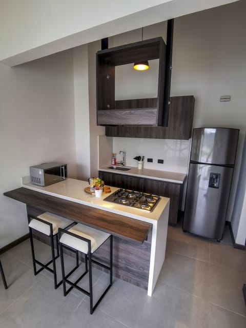 Apartment 303 | Private kitchen | Full-size fridge, microwave, coffee/tea maker, cookware/dishes/utensils