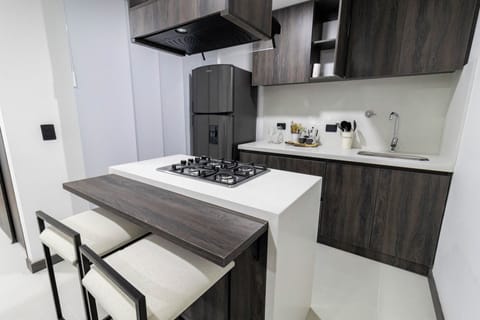 Basic   Apartment 102 | Private kitchen | Full-size fridge, microwave, coffee/tea maker, cookware/dishes/utensils