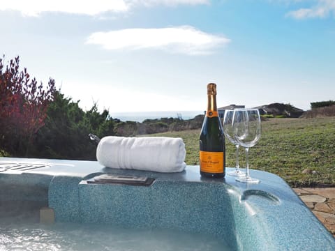 Private, ocean/open space/sunset view hot tub