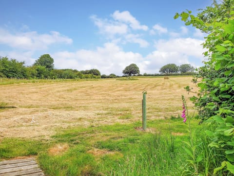 Surrounding area | Ashmere, Callington