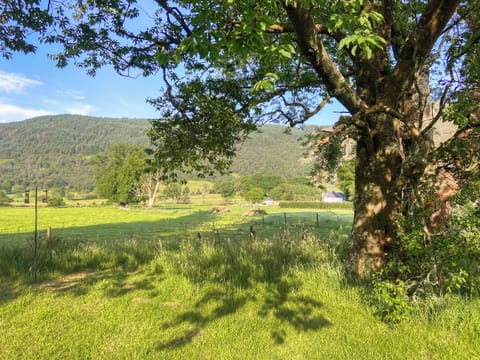 Surrounding area | Hobgoblin Apartment - Hobgoblin Holiday Apartments, Glendaruel