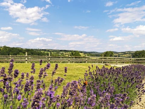 View | Springhill Lodge, Idridgehay, near Belper