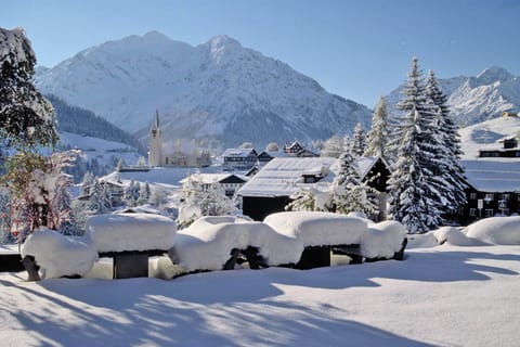 Surroundings [winter] (1-5 km)