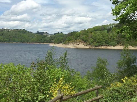 Region [summer] (>5 km)