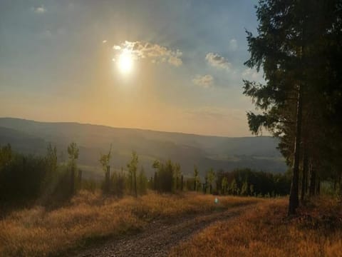 Region [summer] (>5 km)