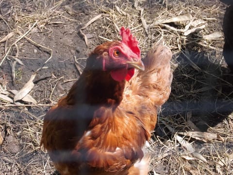 Surroundings [summer] (1-5 km)