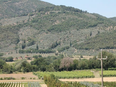 View from Holiday Home [summer]