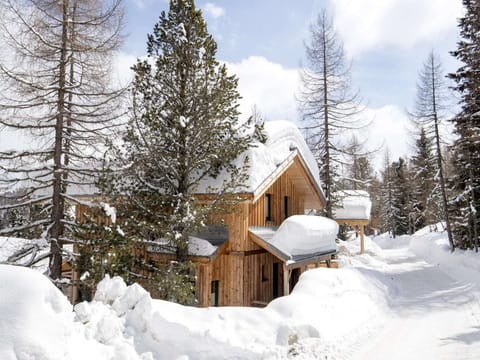 Holiday Home Exterior [winter]