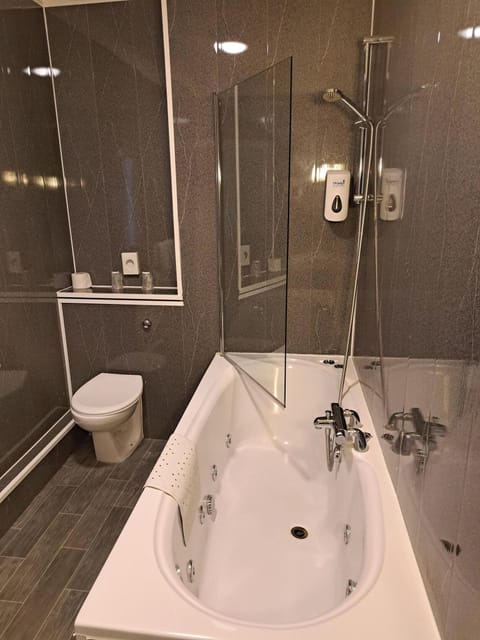 Combined shower/tub, free toiletries, hair dryer, towels