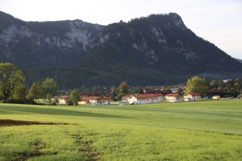 Immediate Surroundings [summer] (&lt;1 km)